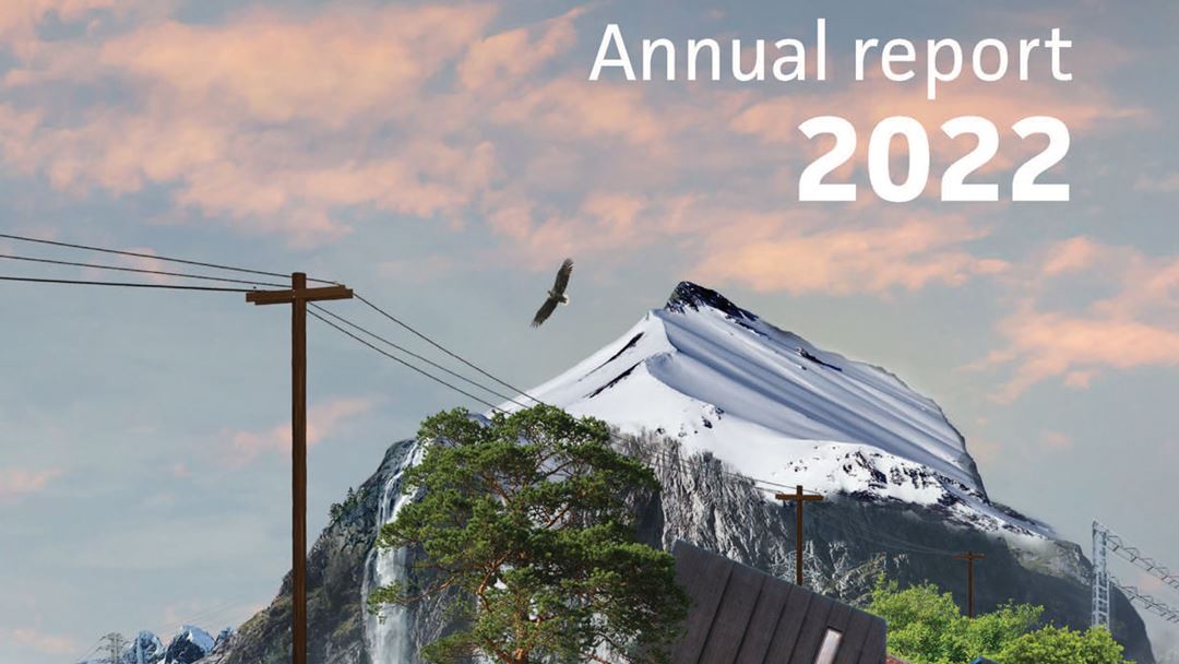 CINELDI 2022 annual report cover