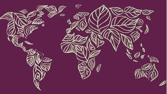 COP29: Equitable South-North partnerships in sustainable energy research, innovation, and higher education