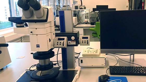 Optical microscope - Zeiss