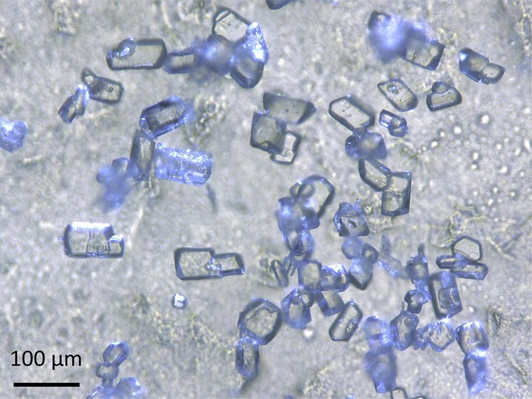 Isolasjonsoverflate (cross-linked polyethylene) etter 3 ukers PD-aldring.