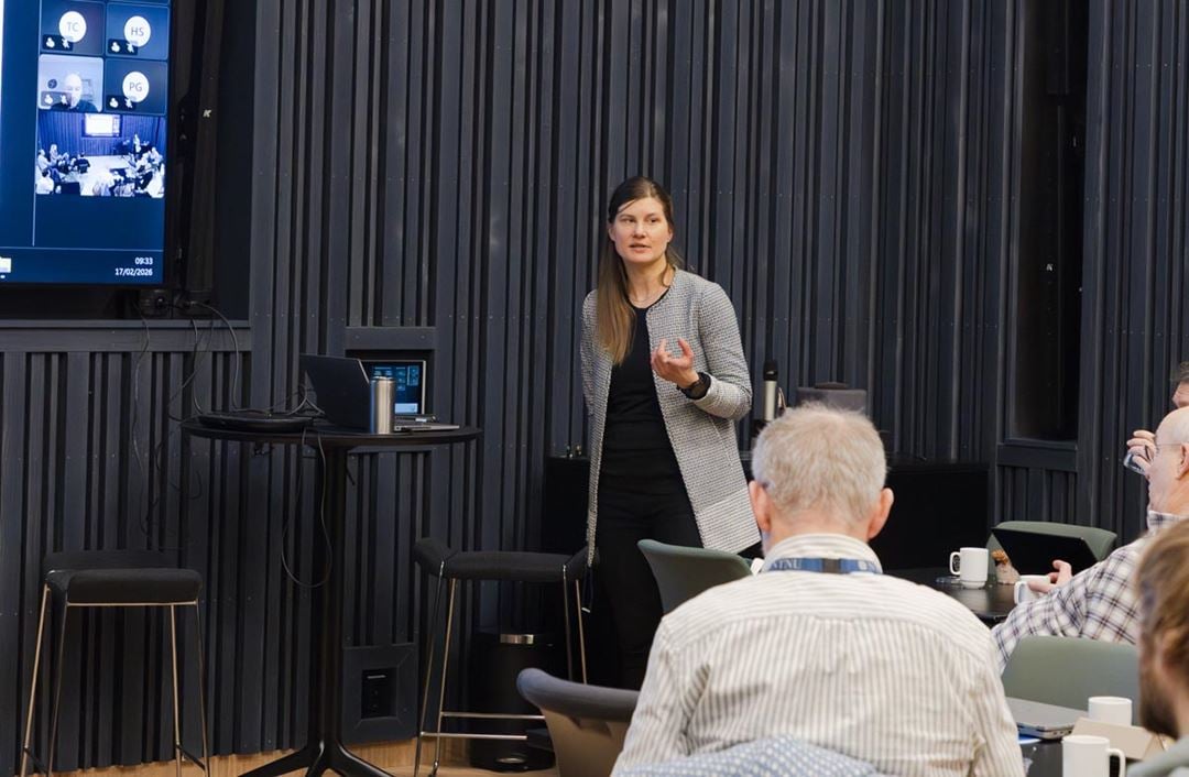 Person in a conference setting holding a presentation / Person som holder innlegg i en konferansesetting