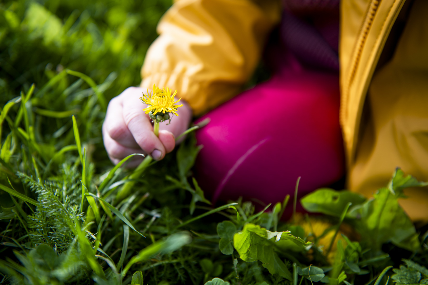 Hvordan kan vi planlegge for en bærekraftig fremtid?