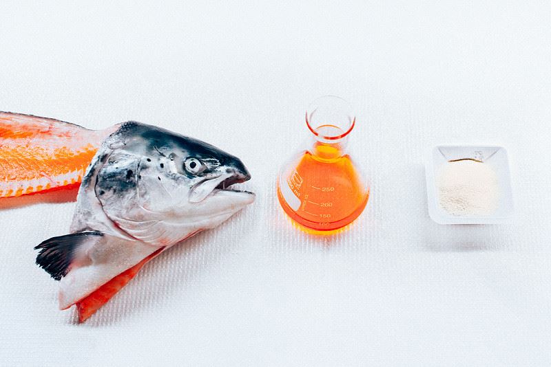 OMEGA - Fish oil microencapsulation generating fortified food products for improved human health