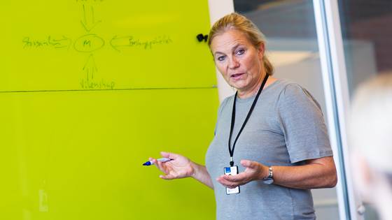 Suksess på EUs forskningsarena styrket SINTEFs inntekter i 2024