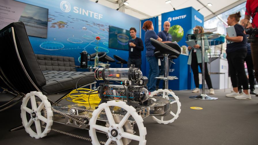 Snegler, roboter og en elektrisk forskningsbåt
