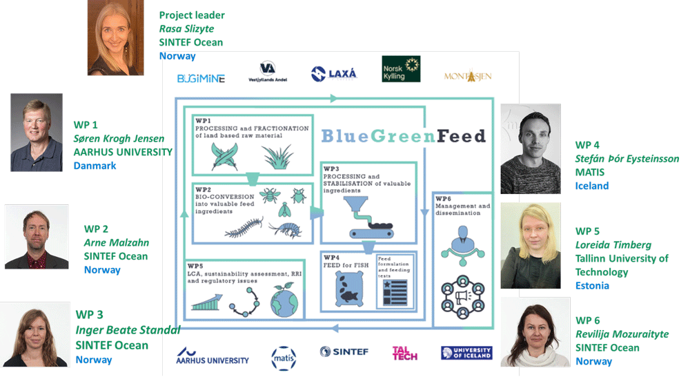 bluegreenfeed-2.png
