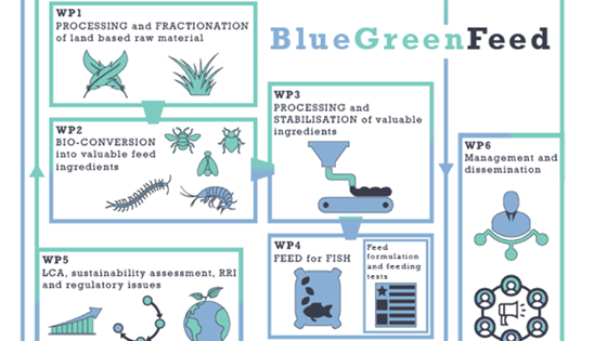 BlueGreenFeed