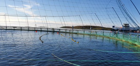 Close-up of fish cage floater