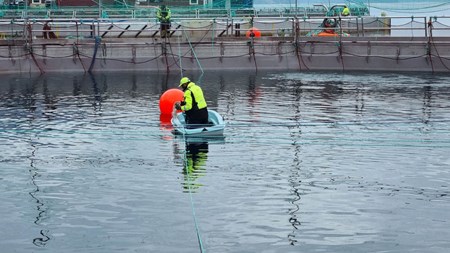 Two men working on a fish cage.