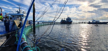 Close up of top side of fish cage.