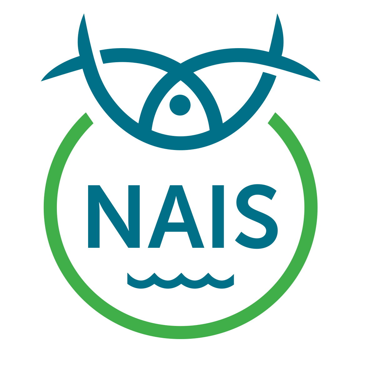 Nais_logoFarge.png