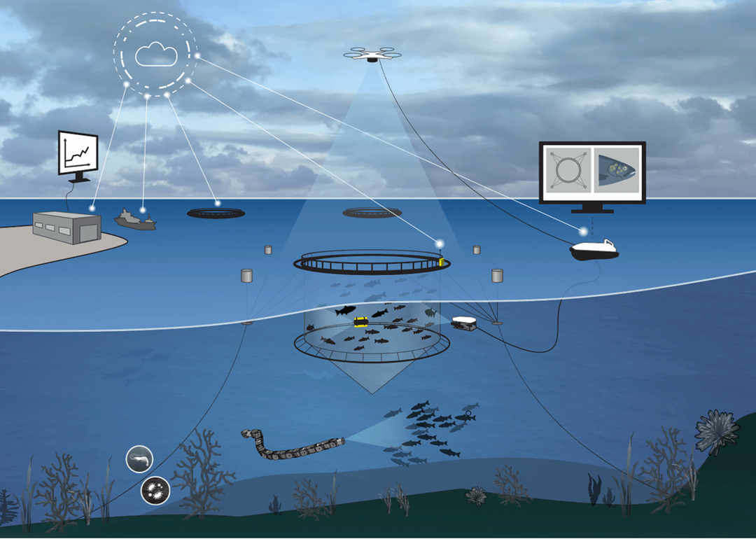 SINTEF ACE – RoboticLab: Development of new knowledge and technology for optimized operations in fish farms