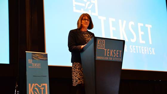 Er settefiskproduksjonen på rett vei?