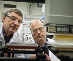 LABORATORY TEST: Nils Dyrset (left) and Geir Klinkenberg of SINTEF Materials and Chemistry are studying and culturing bacterial colonies in the laboratory in order to identify their positive characteristics. Photo: Thor Nielsen