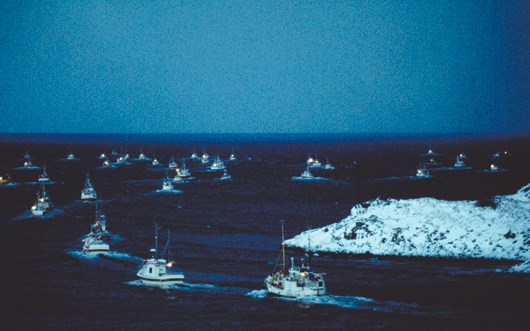 The new face of the sea