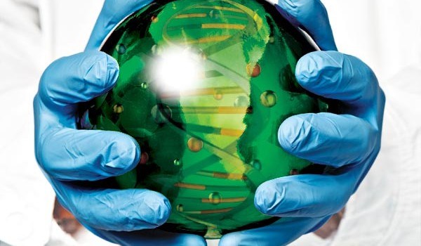 Photo/illustration: Geir Mogen/Raymond Nilsson