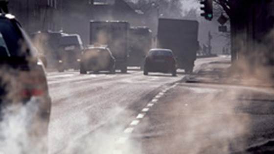 Når og hvor skal man strø?