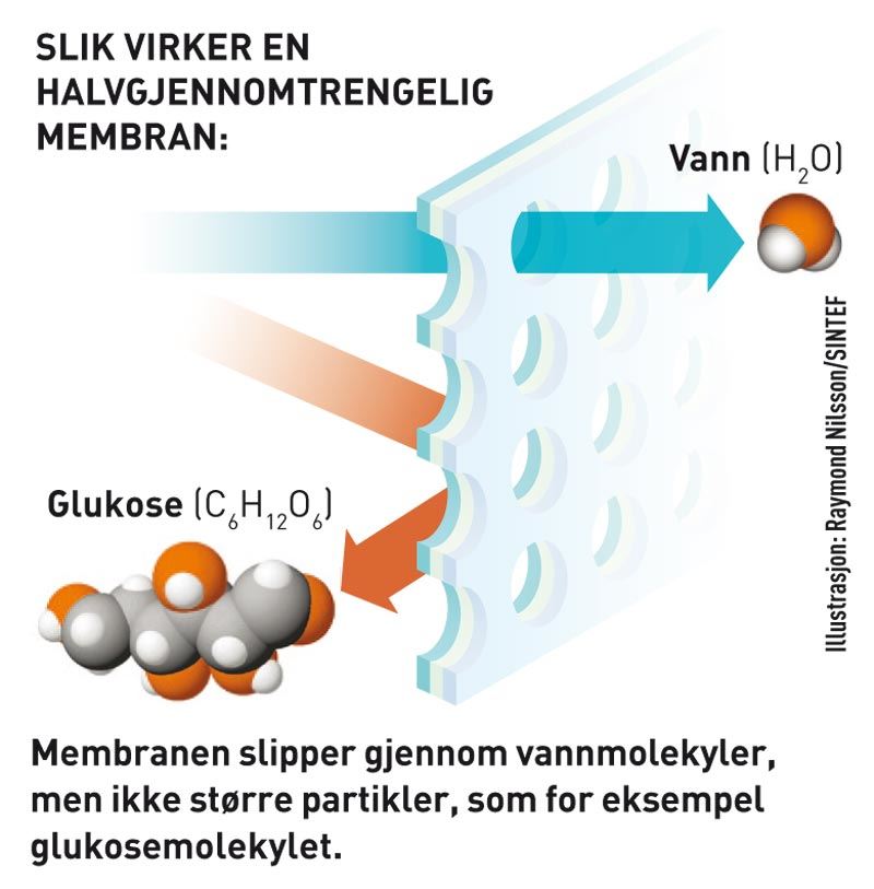 SLIK VIRKER EN HALVGJENNOMTRENGELIG MEMBRAN