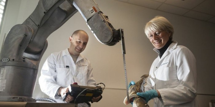 Marit Aursand og Ekrem Misimi på SINTEF Fiskeri og havbruk er fornøyde med sin 6-akse robot som har verktøy-kniv montert på armen. Robotarmen kan brukes for å automatisere ulike operasjoner i fiskeindustrien - som trimming av filet og bløgging av fisk. Foto: Thor Nielsen.