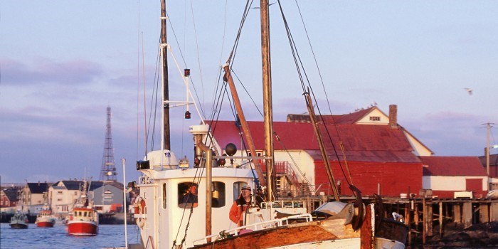 Pumping skader ikke makrellen