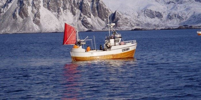 Sjarkfiskere har Norges farligste yrke. Foto: Halvard Aasjord