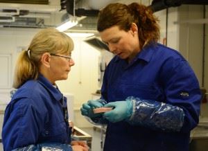 Marte Schei (t.v) og Kirsti Greiff ved SINTEF Fiskeri og havbruk undersøker natriuminnholdet i kokt skinke laget av Espeland på Jæren. Foto: SINTEF