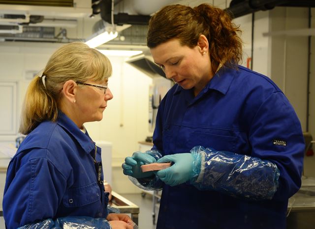 Marte Schei (t.v) og Kirsti Greiff  ved SINTEF Fiskeri og havbruk undersøker natriuminnholdet i kokt skinke laget av Espeland på Jæren. Foto: SINTEF