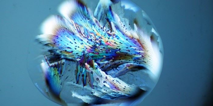 Når en vanndråpe fryser til is ser det sånn ut i mikroskopet. Bildet er tatt av kunstneren Märit Aronsson.