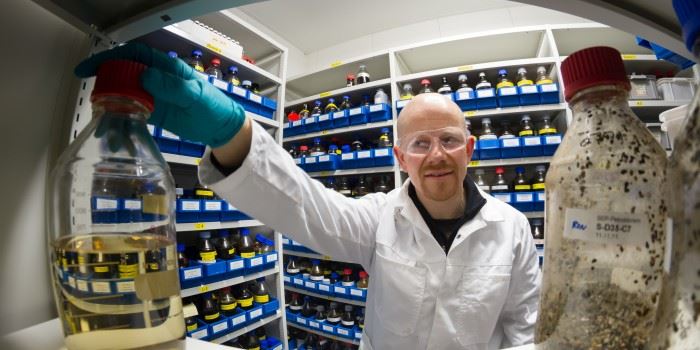 Forsker Roman Netzer i SINTEF har fått overraskende resultater under forsøk med å bryte ned oljesøl  med bakterier. Her i SINTEFs &quot;oljebibliotek&quot;. Foto: Thor Nielssen.