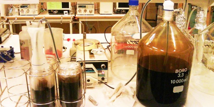 Urgamle mikrober med stort industripotensial