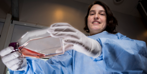 Sylvie Lehlu at NTNU has extracted cells from the pig brain. Photo: Geir Otto Johansen.