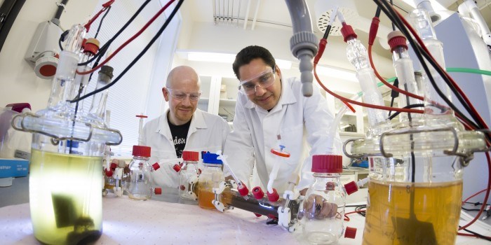 Driver brenselcelle med bakterier