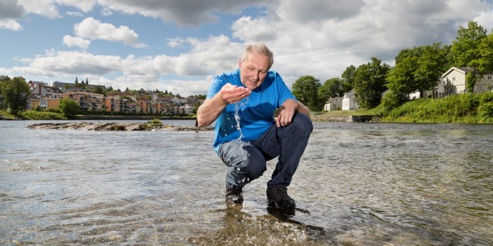 Fanger falske hormoner