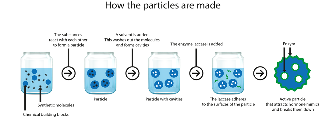 particles