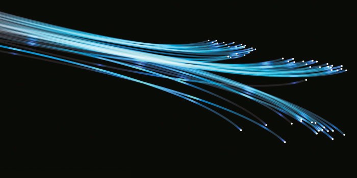 Hvordan få din bedrift robust?