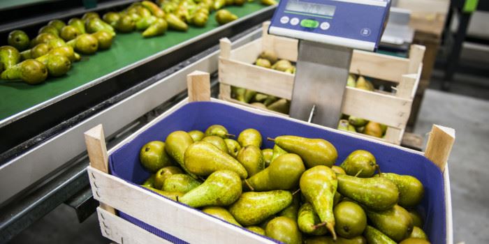 Coop ønsker ikke at matvarer skal bli ødelagt under transporten ut til butikkene på grunn av feil temperatur. Derfor vil de ha lokale temperaturmålinger på fraktetappene. Foto: ThinkStock.