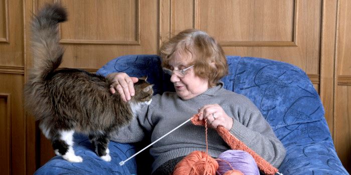 Eldre menn og kvinner med stabil psyke og moderat kognitiv svikt, melder om frihetsfølelse når medisineringsbesøkene faller bort. Foto: ThinkStock