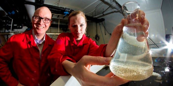 Rune Bjerke and Elin Eidesvik at C-feed. While salmon fry can eat dry feed from day one, saltwater species need live start-feed. This is now creating a new industry. Phto: Thor Nielsen