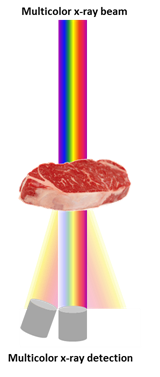 Når røntgen sendes gjennom et objekt, blir en del av stråling absorbert, en del går rett gjennom (transmission) og den siste delen spres i mange retninger (scatter). De to første typene med stråling er det som vanligvis brukes for å lage et røntgenbilde på sykehus. Den siste delen spres i mange retninger på grunn av interaksjon med atomer i objektet, og gir informasjon om struktur i objektet, for eksempel bindevevsstruktur og muskel fibre. Ill.: SINTEF