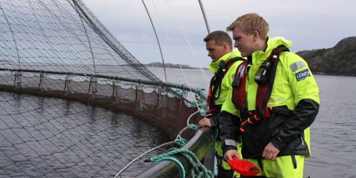 Her testes den nye bekledningen ved et oppdrettsanlegg på Hitra. Foto: SINTEF