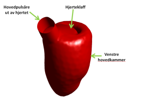 3D-hjerte