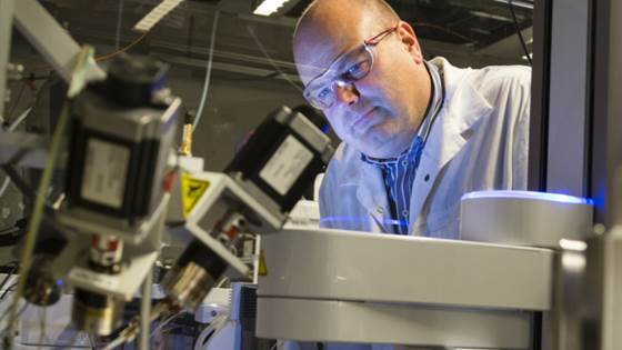 Bacteria from the sea join the fight against cancer and infections