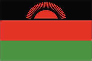 Bilde av Malawis flagg som er rødt, sort og grønt.