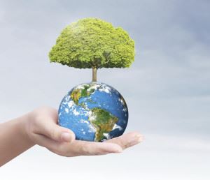 Bærekraftig utvikling? Hva er nå det? Foto: Thinkstock