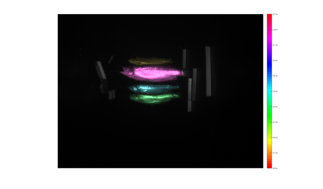 Kameraet gir avstand til alt det ser. I dette bildet er dybden fargekodet, og man ser lett at den rosa fisken er på ca 2.9 meters avstand, mens den grønne er på 4.0 meters avstand, og det er lett å se at den blå fisken ligger foran den grønne. Dette gjør det lettere å både måle absolutt størrelse og også automatisk etterprosessere bildene. 