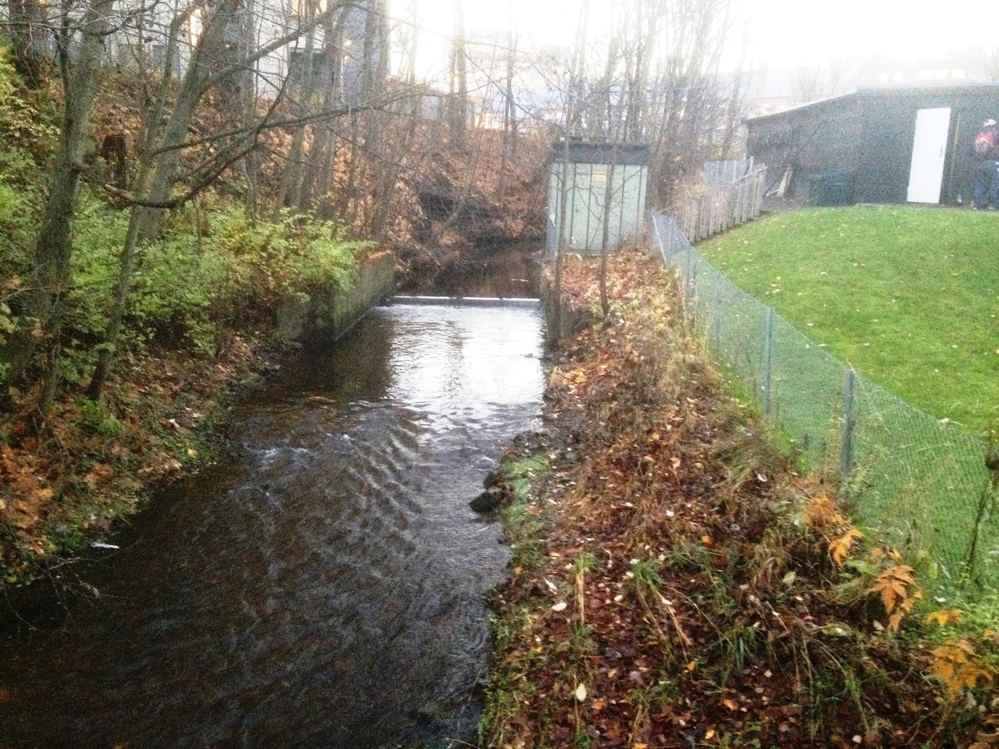 Ved styrtregn kan turgåere vedHoffselva oppleve å se toilettpapir og lukte overløpsvannet. Foto: Herman Helness.