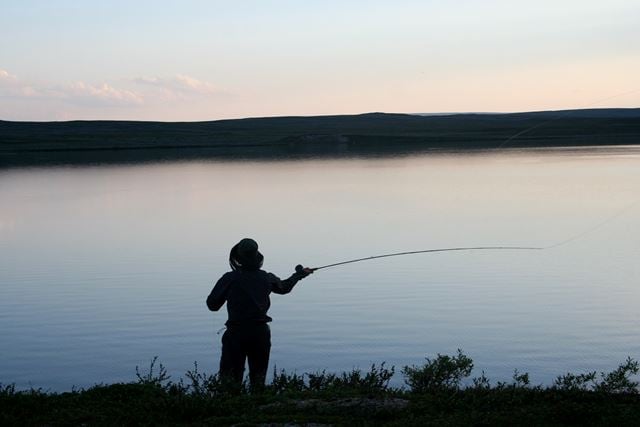 Hvor genetisk ren er villaksen i dag? Det varierer stort fra elv til elv. Foto: Thinkstock