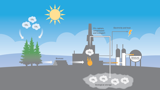 Fjerner CO2 fra naturens kretsløp