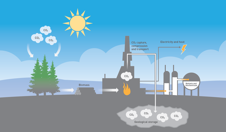 Bio-CCS er å ta ut CO2 fra klimanøytrale energiprosesser, og lagre den under jorda. Da fjerner man i prakis denne CO2-en fra atmosfæren. Derfor kalles metoden karbonnegativ teknologi. Illustrasjon: Doghouse.no