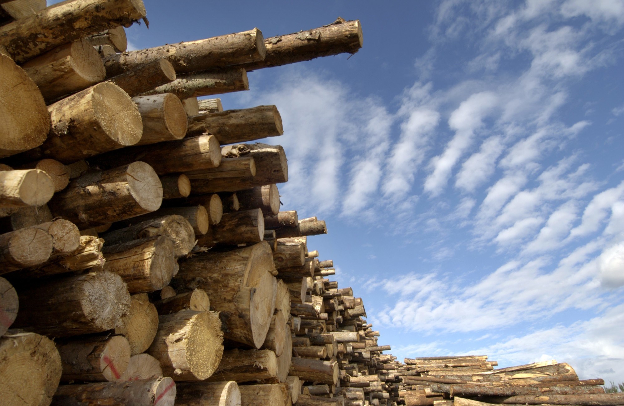 Fornybart isolasjonsmateriale kommer